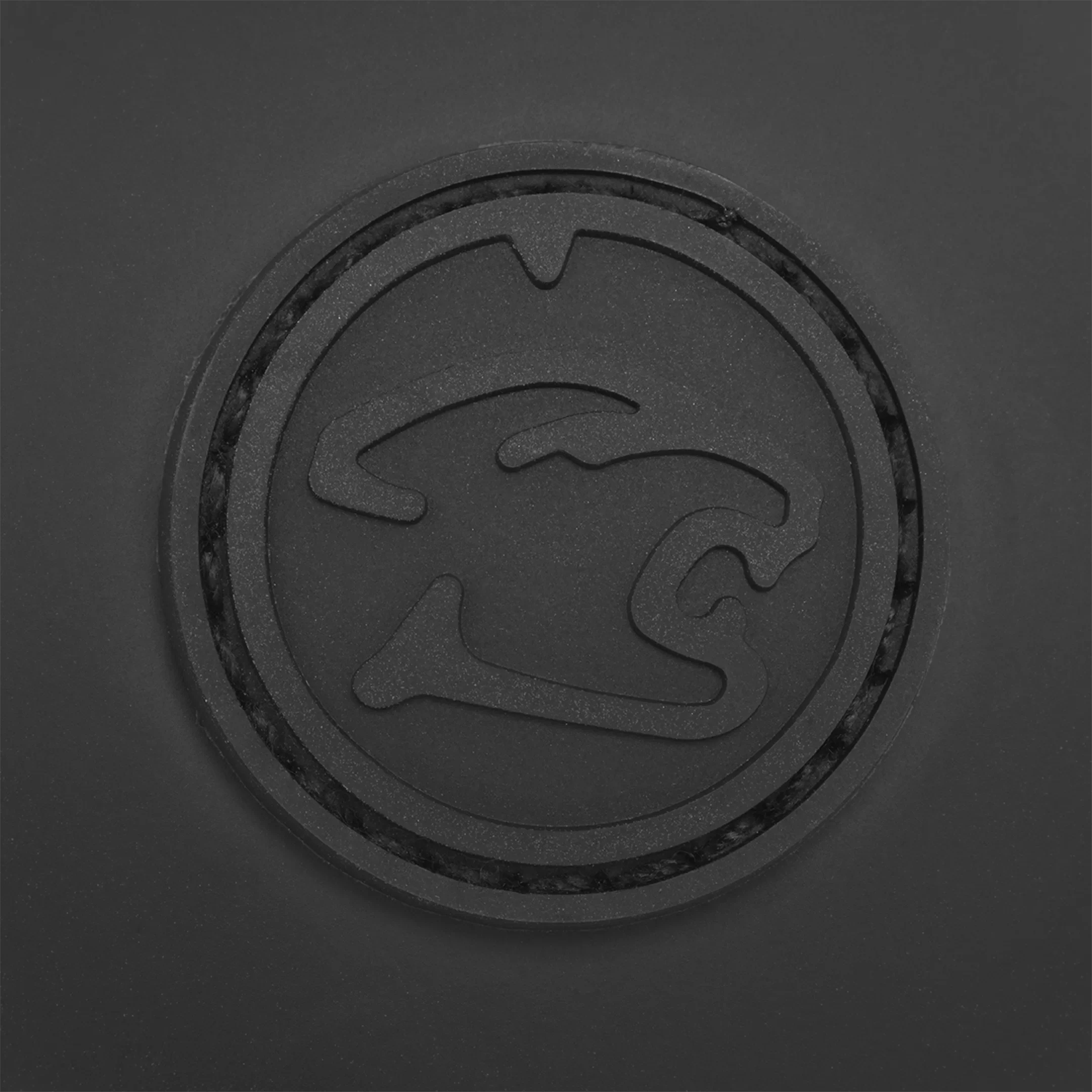 Cue Ball Carrying Case with Circle Predator Logo
