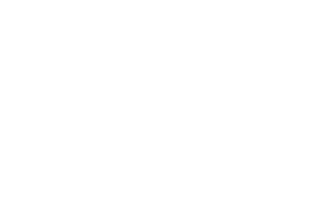 Maelith Logo White