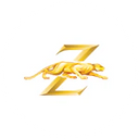 Z SHAFT TECHNOLOGY